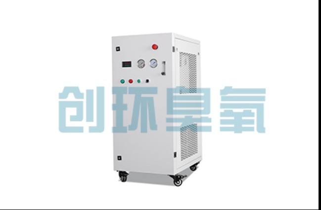 天门工厂化养鲈必看:2026年臭氧发生器替代传统消毒的最新方案