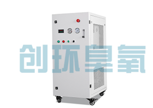 天门石斑鱼养殖水质调控完整指南:臭氧发生器配置与操作步骤
