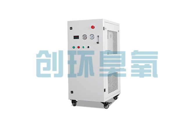 天门比传统换水更高效?臭氧发生器在石斑鱼养殖中的水质净化原理解析